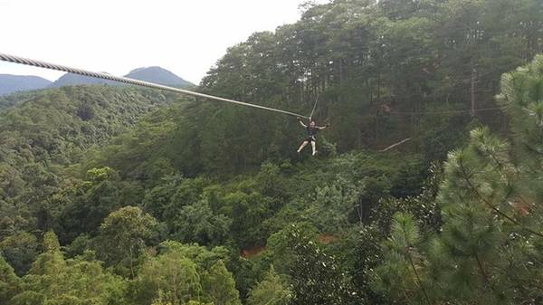 Đến Datanla, du khách được trải nghiệm cảm giác làm Tarzan đu dây bay giữa rừng thông. Ảnh: Duy Hoàng.