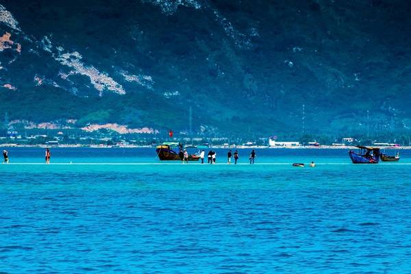 Khung cảnh thiên nhiên hoang sơ tuyệt mỹ tại đảo Điệp Sơn