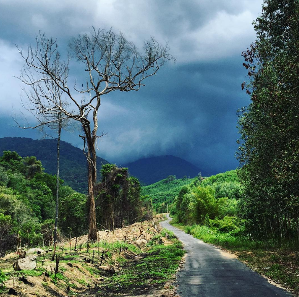 Đỉnh Hòn Bà Nha Trang mờ sương
