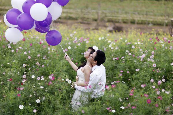 Chụp ảnh cưới Đà Lạt giữa vườn hoa rực rỡ