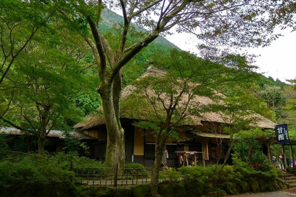 Quán trà Amazake Chaya được điều hành bởi 13 thế hệ trong một gia đình. Ảnh: Greater Tokyo.