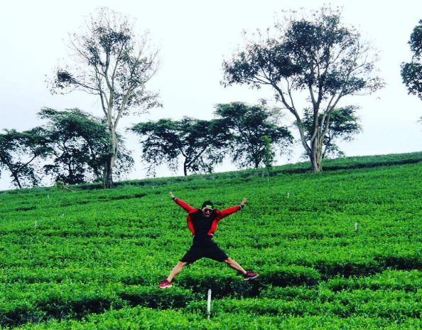 Đồi chè Tâm Châu Bảo Lộc. Ảnh:@toanla_travelholic