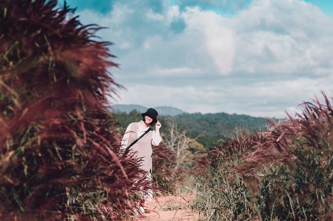 Hướng dẫn đến đồi cỏ đuôi chồn Đà Lạt hồ Tuyền Lâm