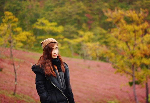 Khung cảnh cỏ hồng Đà Lạt thơ mộng