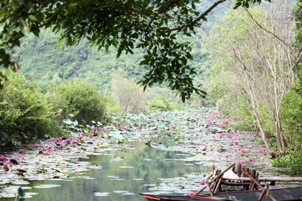 Không gian thư giãn lãng mạn tại suối Yến vào buổi sáng