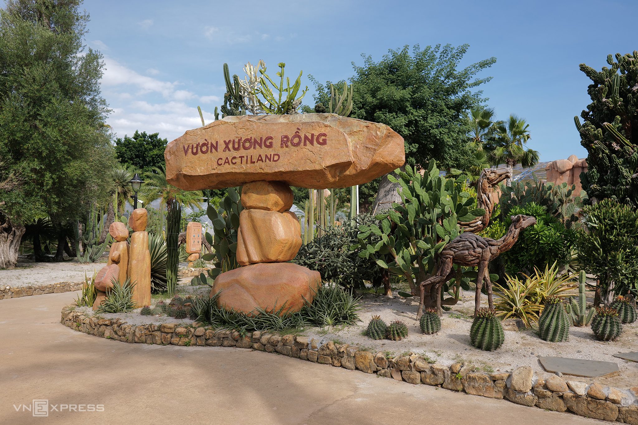 Thế giới xương rồng khổng lồ tại khu vườn châu Phi