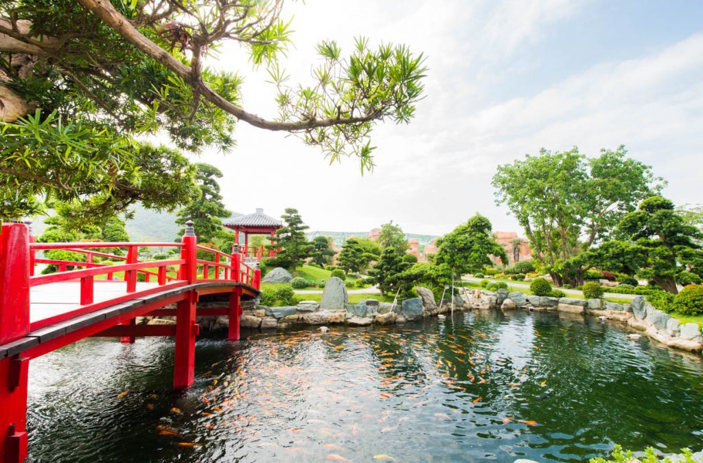 Hồ cá koi rực rỡ sắc màu tại vườn Nhật