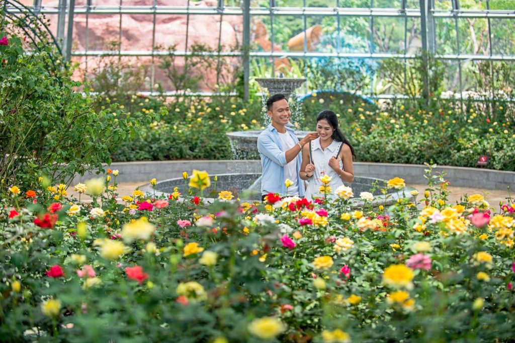 Vương quốc hoa hồng lãng mạn tại đồi Vạn Hoa VinWonders Nha Trang