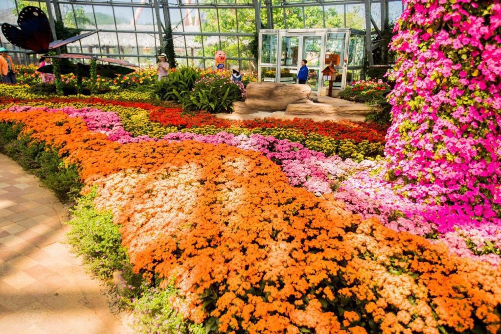 Không gian đậm chất làng quê Việt tại vườn Việt Nam
