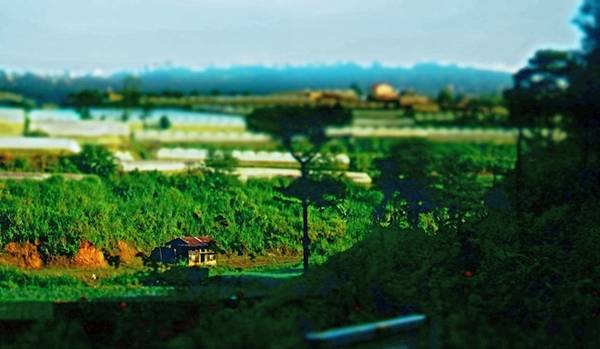 Sau chuyến xe đêm từ Sài Gòn, hành trình đến Núi Voi Đà Lạt bắt đầu với không gian thiên nhiên hoang dã và tiết trời trong lành.