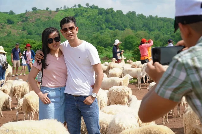 Đồng cừu ở Suối Nghệ cách trung tâm TP HCM khoảng 70 km, phù hợp cho các nhóm du khách đi xe máy xuống Vũng Tàu và có thể tranh thủ tạt qua. Thời gian lý tưởng để ghé chơi là 8h - 10h sáng. Bạn ghé điểm này khi từ Vũng Tàu về Sài Gòn. Xế chiều 15h - 17h cũng khá phù hợp.