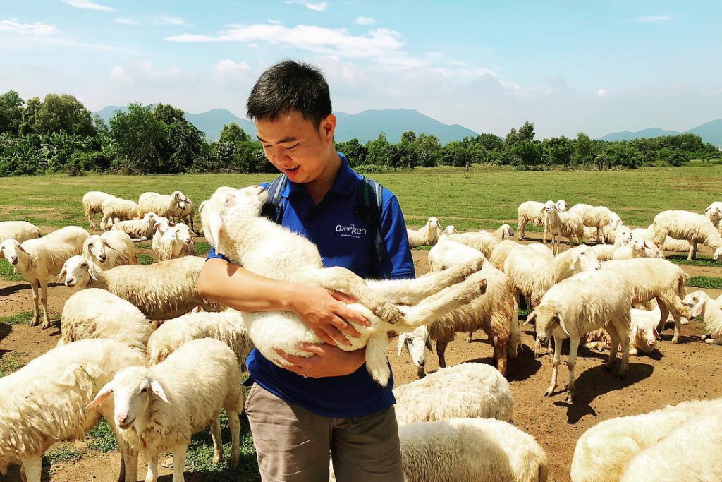 Không khí trong lành tại Đồng cừu Suối Nghệ