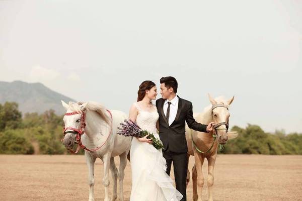Ngựa thả cùng cừu tại đồng cừu Suối Nghệ