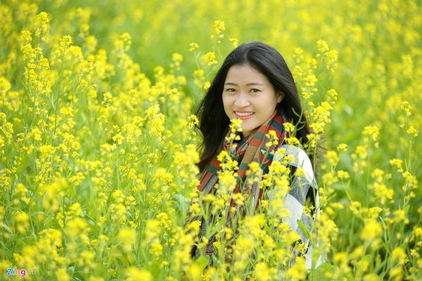 Giá vé vào cổng ngắm hoa cải Hà Nội chụp hình siêu rẻ.