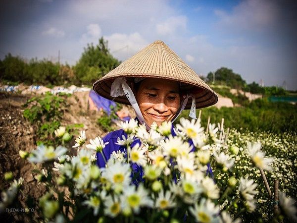 dong-sap-den-roi-cu-nhin-nhung-bong-cuc-hoa-mi-tinh-khoi-xuong-pho-thi-ro-ivivu-10 dong-sap-den-roi-cu-nhin-nhung-bong-cuc-hoa-mi-tinh-khoi-xuong-pho-thi-ro-ivivu-10