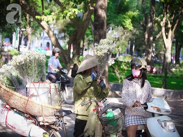 dong-sap-den-roi-cu-nhin-nhung-bong-cuc-hoa-mi-tinh-khoi-xuong-pho-thi-ro-ivivu-6 dong-sap-den-roi-cu-nhin-nhung-bong-cuc-hoa-mi-tinh-khoi-xuong-pho-thi-ro-ivivu-6