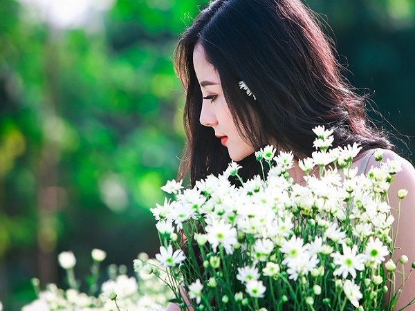 Mùa đông đến Hà Nội rồi, cứ nhìn những bông cúc họa mi tinh khôi xuống phố thì rõ