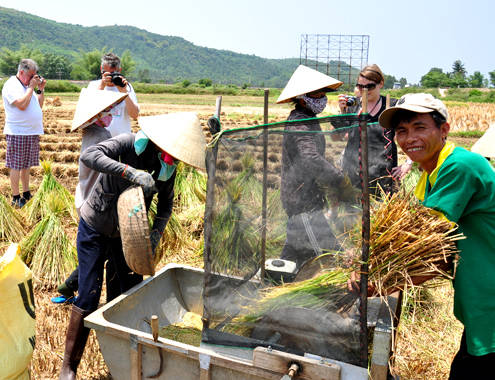 Du khách Hà Lan hòa mình vào bức tranh nông thôn đồng lúa Việt Nam