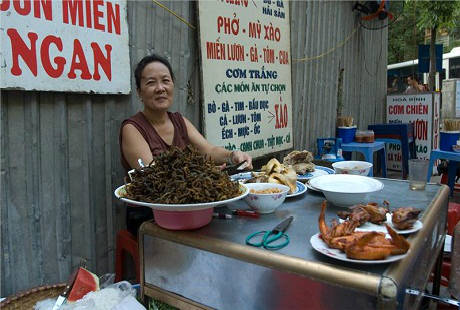 Thiên đường ẩm thực Việt Nam với món phở gà bên đường
