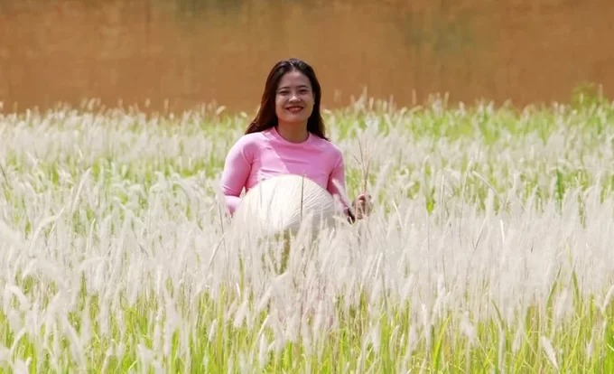 Không gian lãng mạn mùa hoa cỏ tranh tại Đại Nội Huế