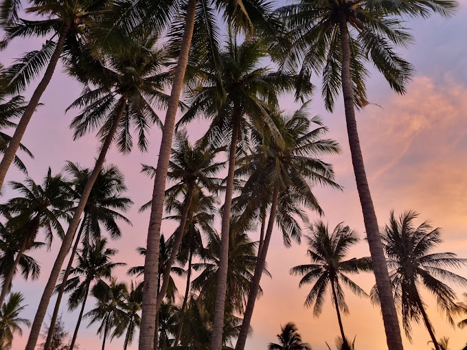 Hoàng hôn Bãi Rạng - điểm du lịch Phan Thiết