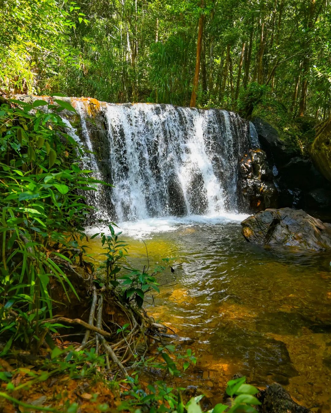 Suối Tranh