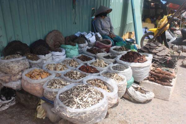 Du lịch Phú Quốc - Người dân địa phương bày bán thảo mộc ở chợ