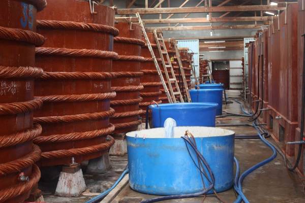 Du lịch Phú Quốc - Bên trong xưởng sản xuất nước mắm
