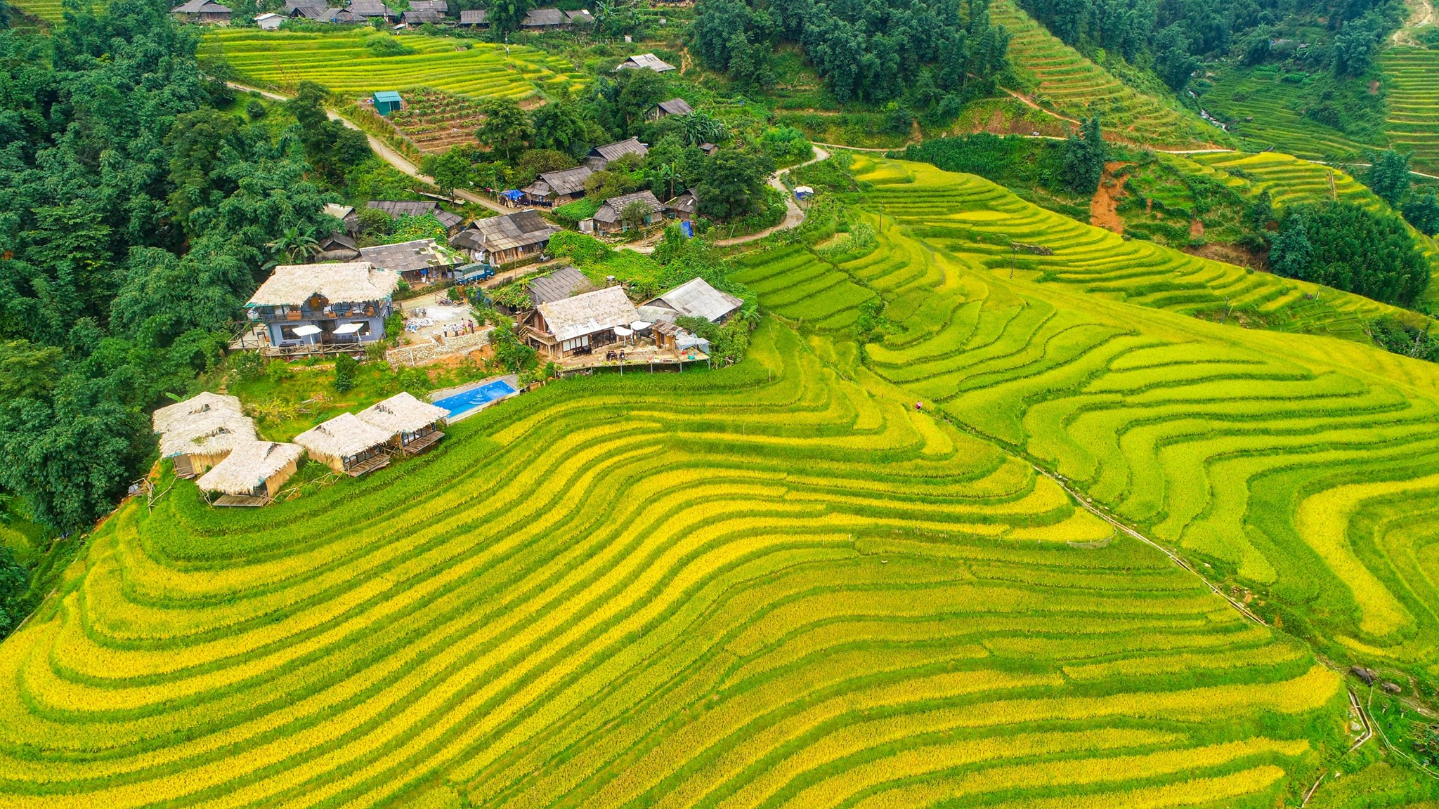Top 10 hoạt động cuối năm đầy thú vị khi du lịch Sapa