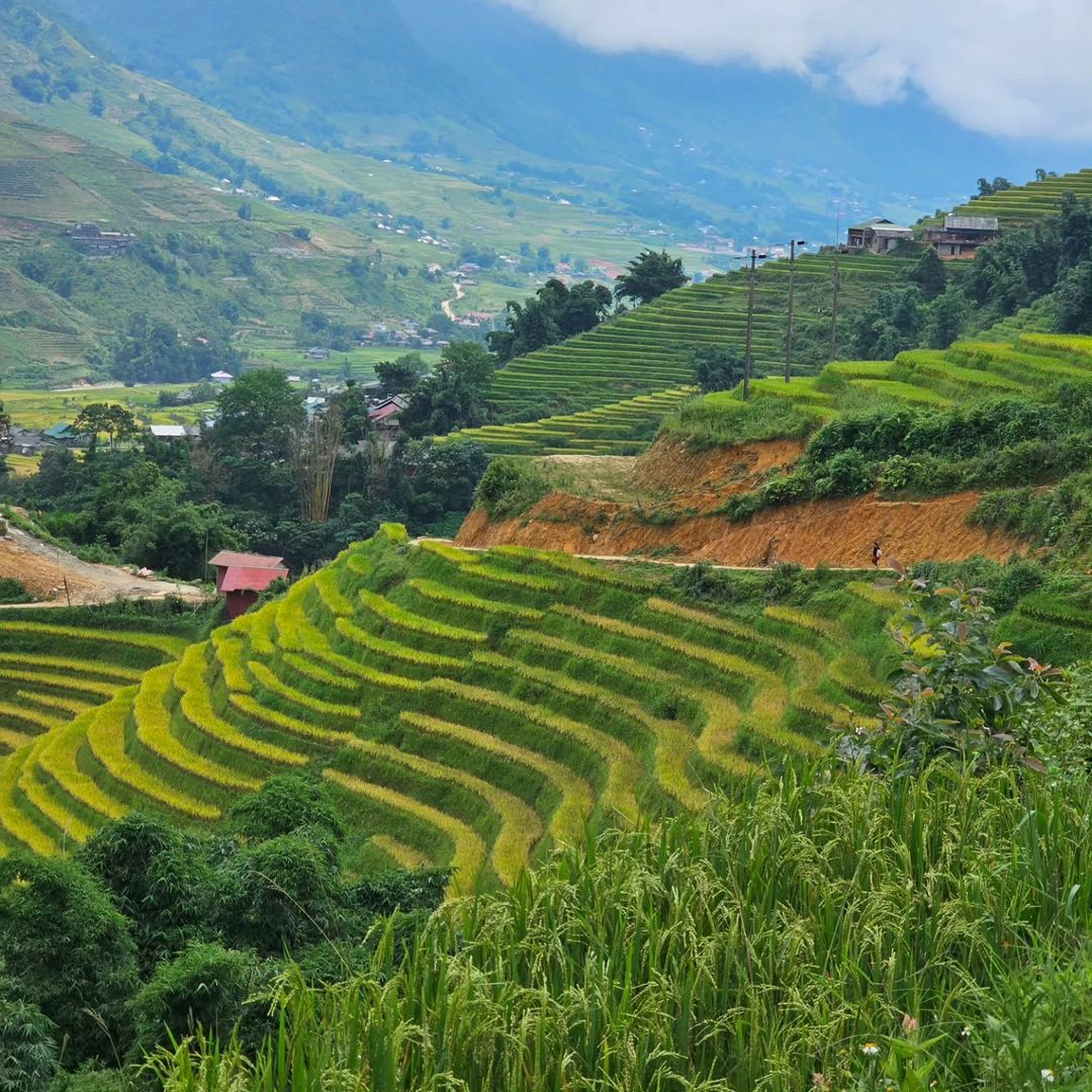du-lịch-Sapa-ivivu-4