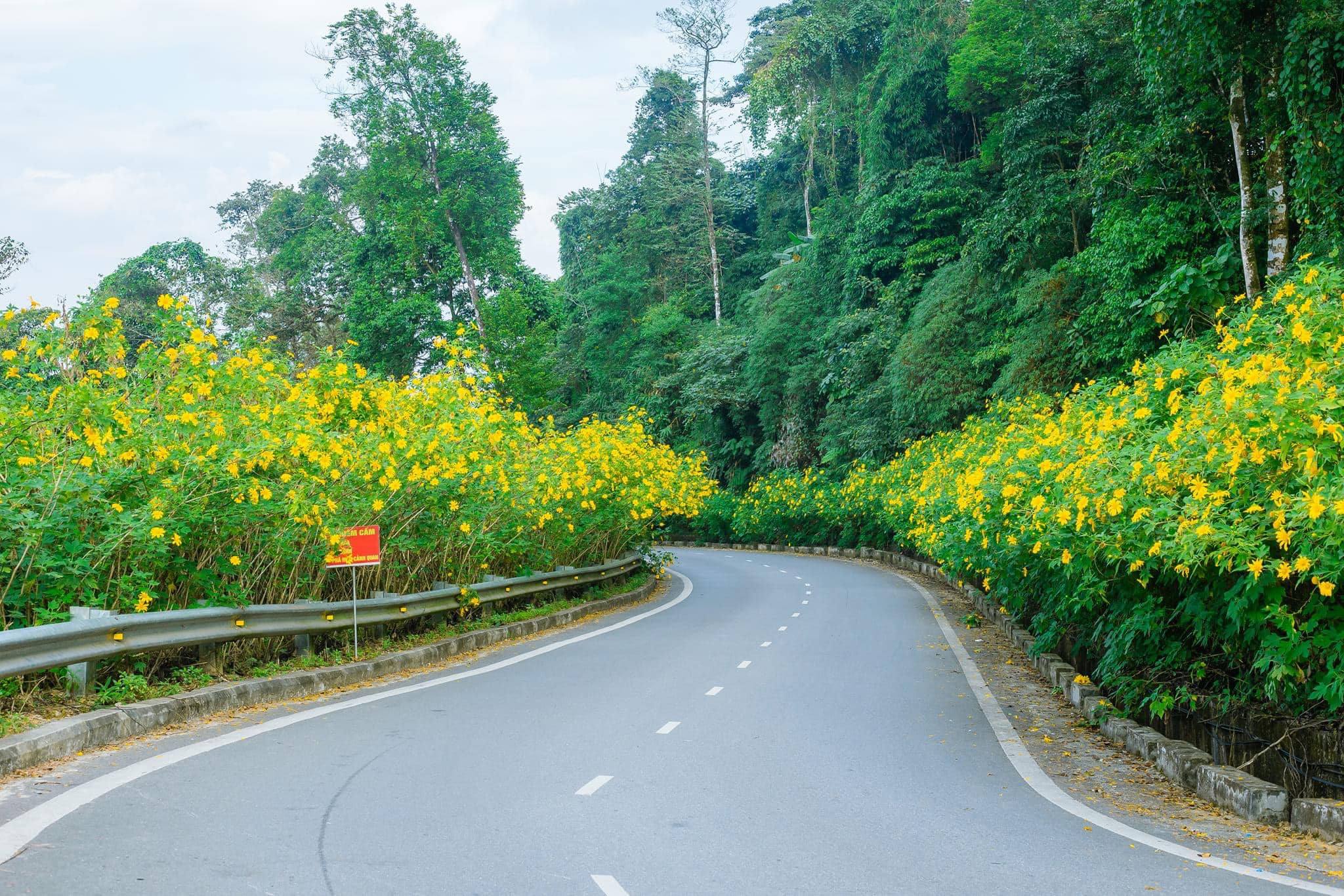 Du lịch Ba Vì, khám phá những điểm đến xanh giữa thiên nhiên