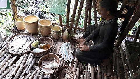 Ảnh: longan.dcs.vn