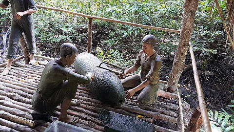 Ảnh: longan.dcs.vn
