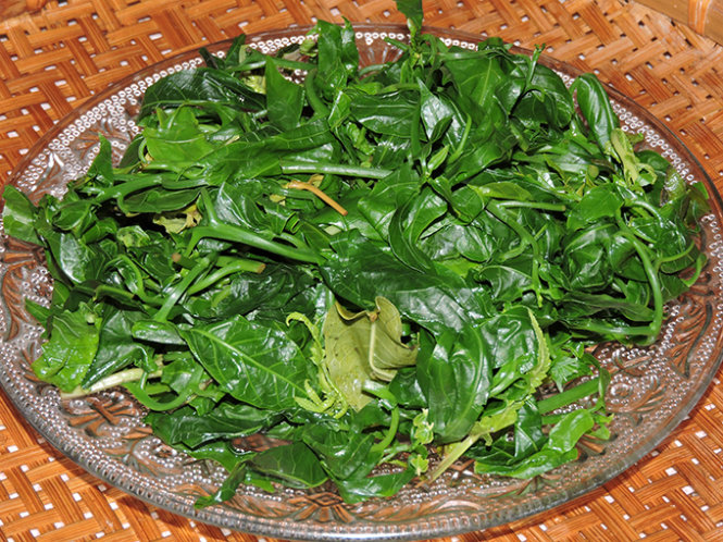 Rau rừng luộc tươi ngon Cù Lao Chàm