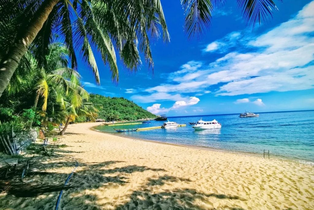 Hòn đảo lãng mạn Cù Lao Chàm