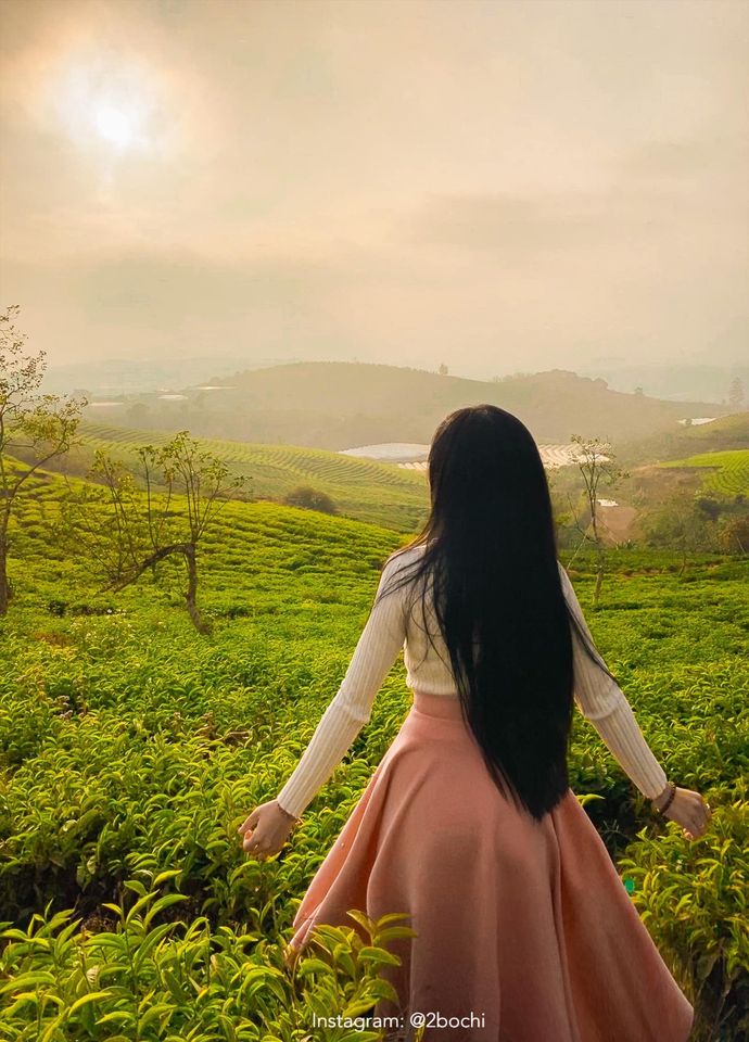 Review du lịch Đà Lạt 4 ngày - Đồi chè Cầu Đất