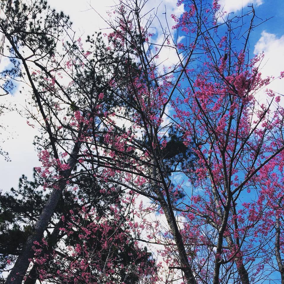 Ảnh: Yến Trịnh