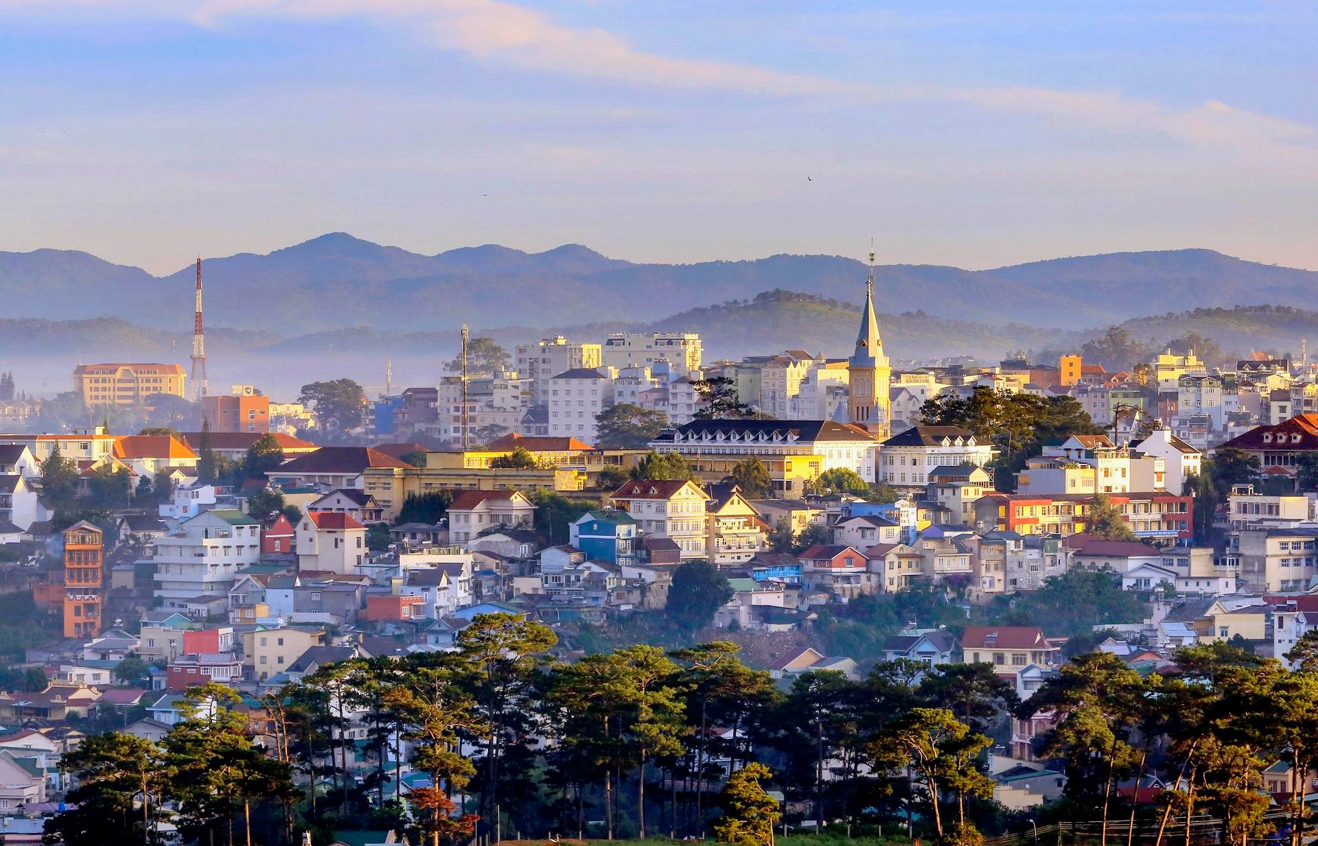 Du lịch Đà Lạt – Cẩm nang từ A đến Z (update thông tin mới nhất năm 2026)