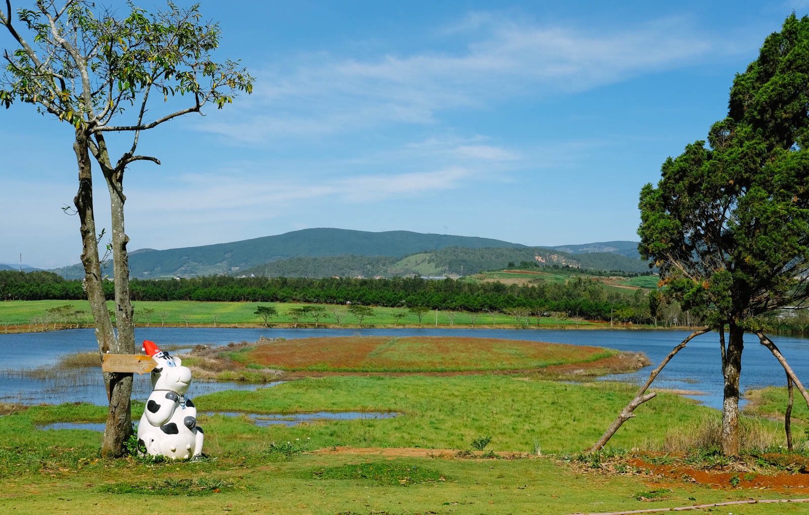 du-lich-da-lat-ivivu-anh60