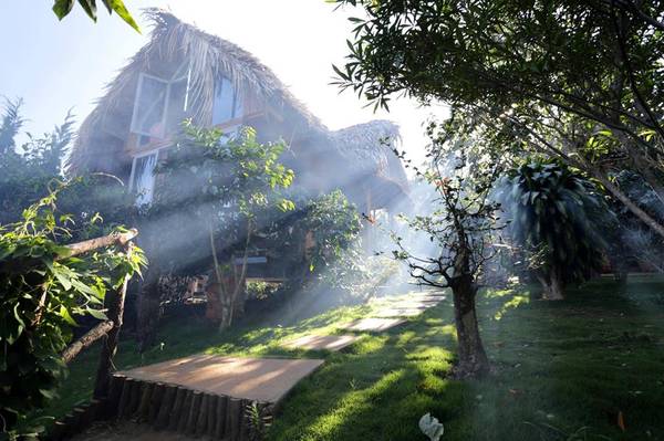 du-lich-da-lat-tim-ve-chon-binh-yen-cui-homestay-ivivu-1 du-lich-da-lat-tim-ve-chon-binh-yen-cui-homestay-ivivu-1