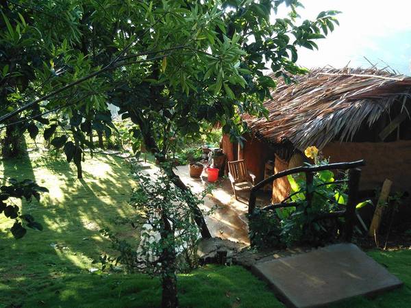 du-lich-da-lat-tim-ve-chon-binh-yen-cui-homestay-ivivu-14 du-lich-da-lat-tim-ve-chon-binh-yen-cui-homestay-ivivu-14