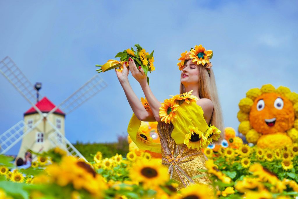 Hướng dương nở rộ trên đỉnh Bà Nà Hills du lịch Đà Nẵng