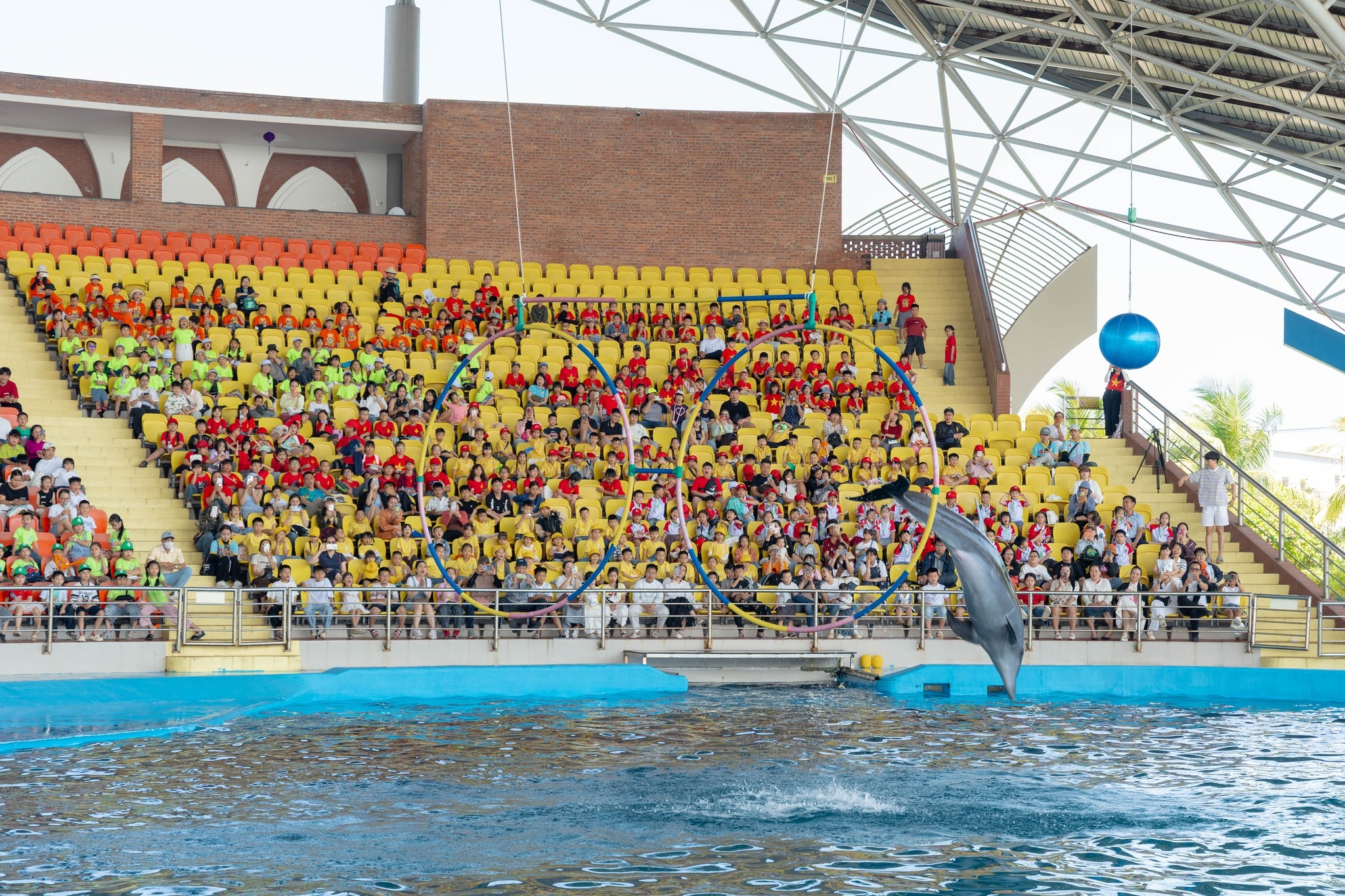 Show diễn cá heo Dolphinarium Đà Nẵng