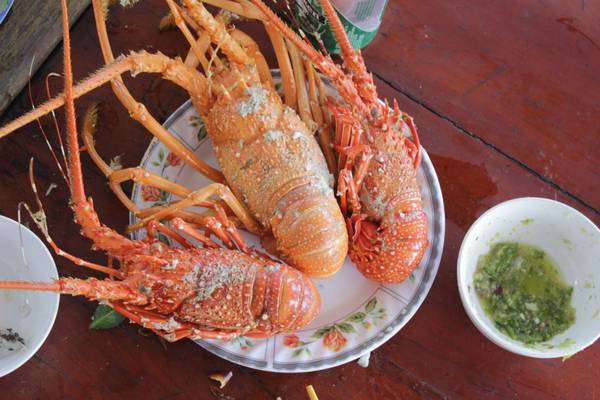 Tôm hùm tươi ngon đặc sản đảo Bình Hưng