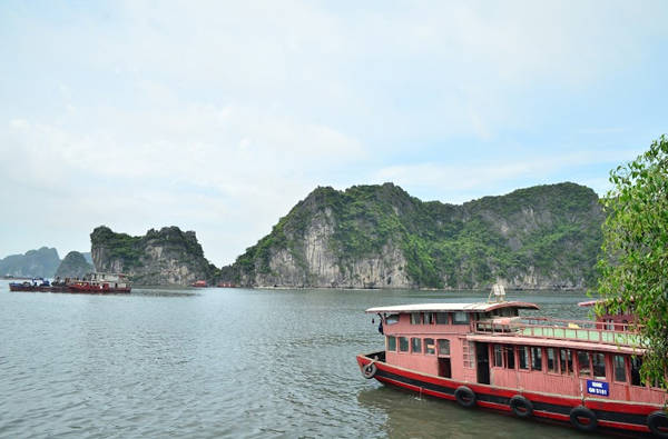 Hoạt động vui chơi du lịch đảo Mắt Rồng Ngọc Vừng