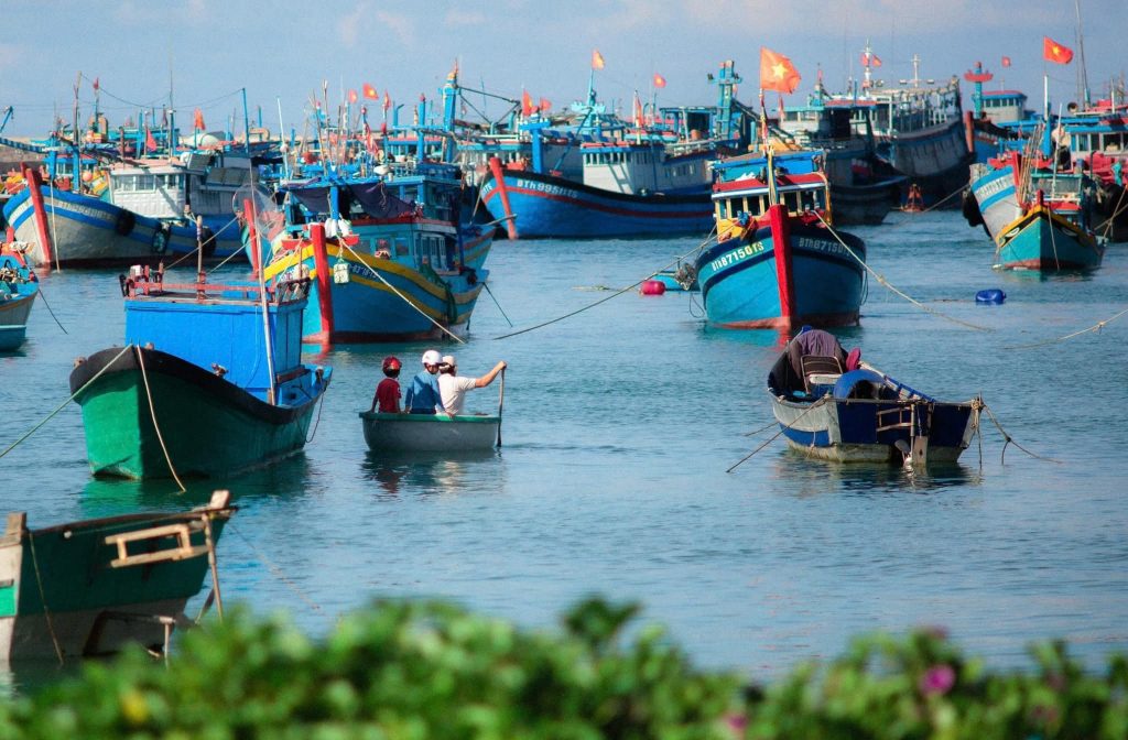 Ghe tàu đánh cá hải sản khi du lịch đảo Phú Quý