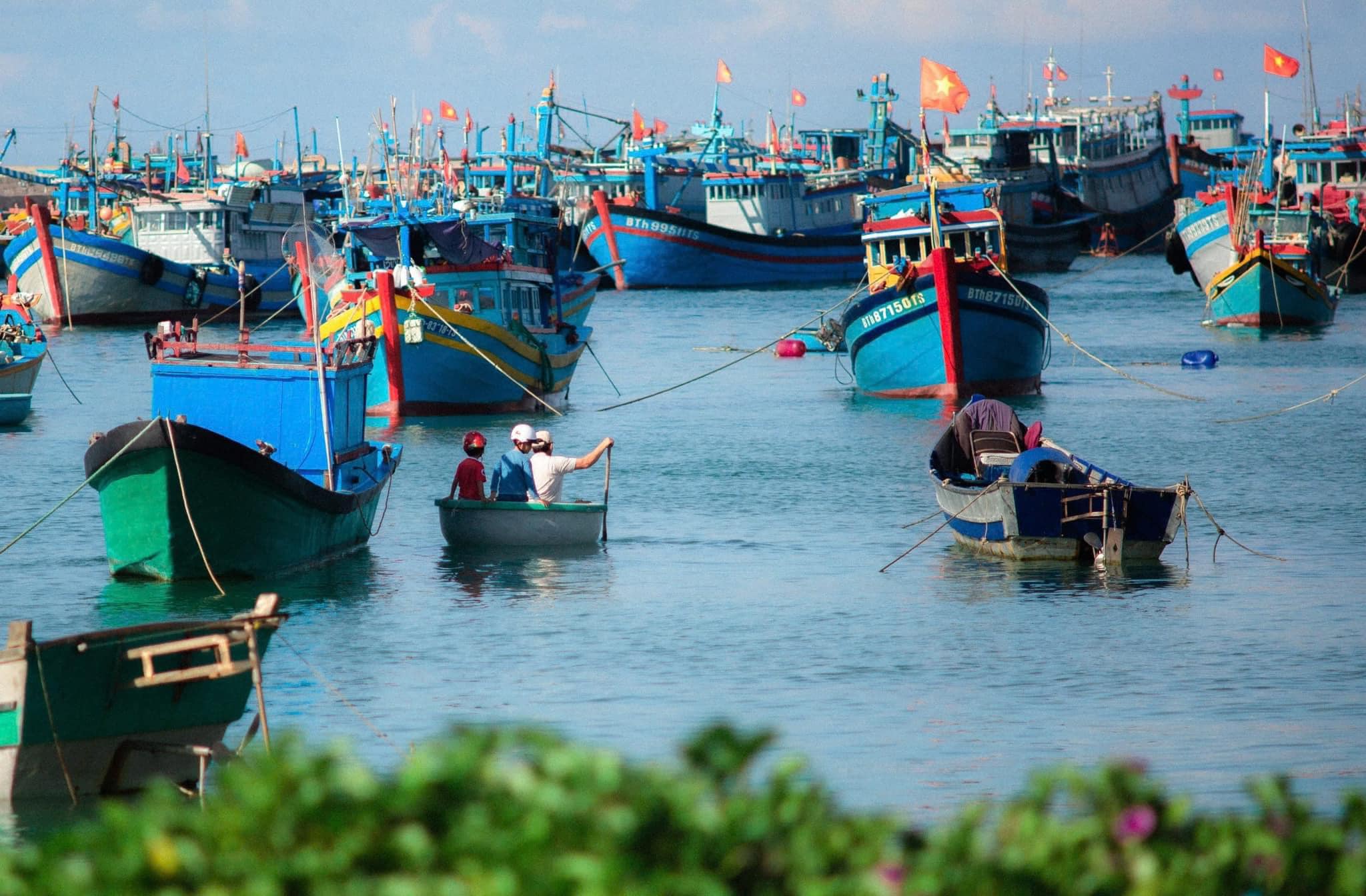 Kinh nghiệm du lịch đảo Phú Quý hè 2026