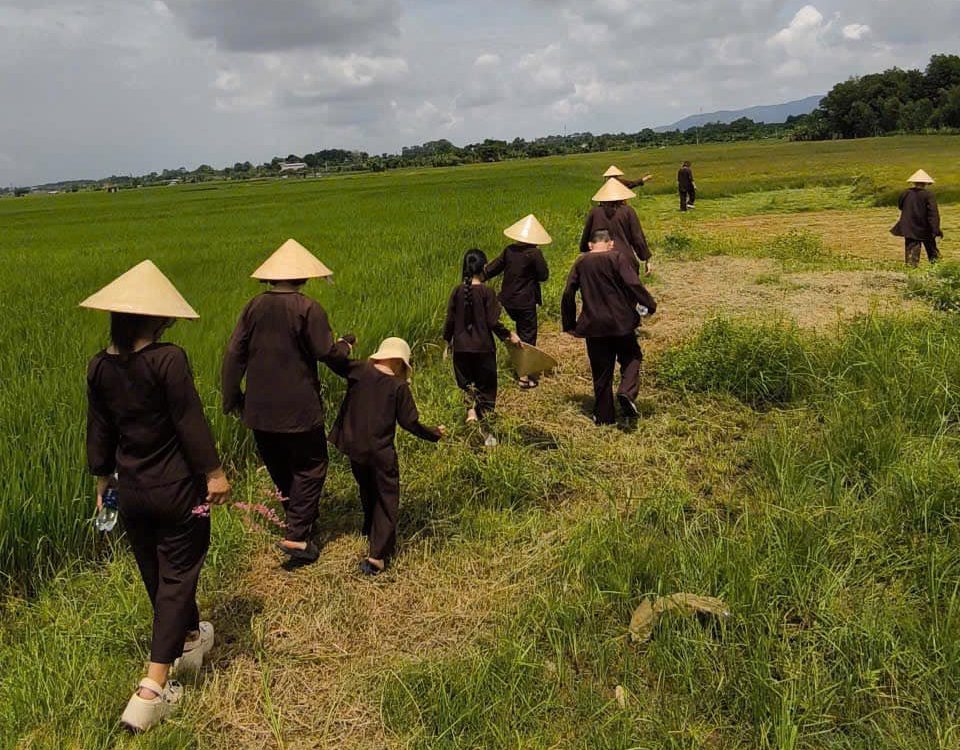 Kênh rạch tại Tứ Phương Thất Đảo