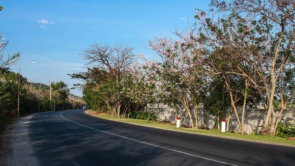 Thành phố biển Vũng Tàu xinh đẹp nhìn từ trên cao