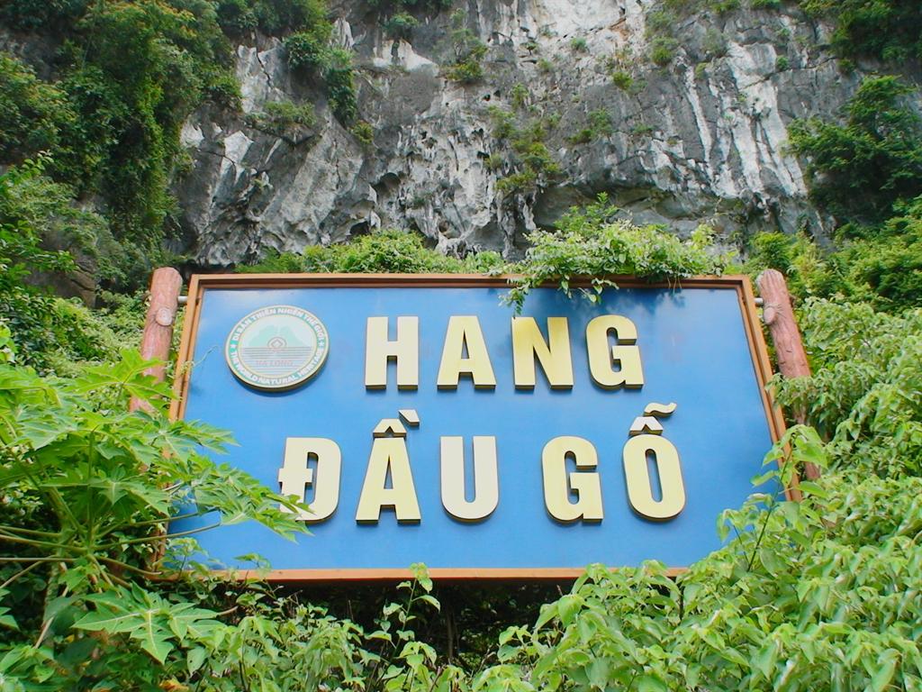 Hang Đầu Gỗ Vịnh Hạ Long